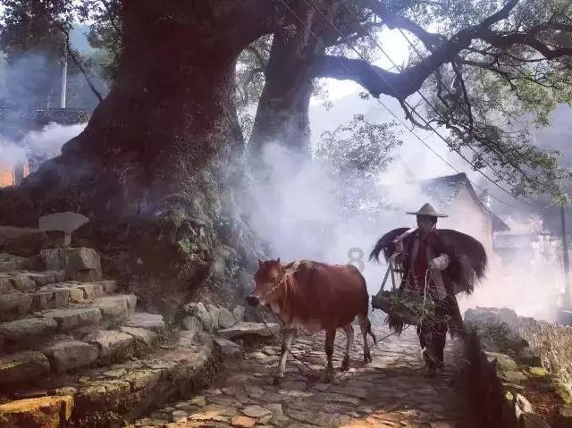 你是否吻得到我的笑脸是什么歌曲？游戏画面