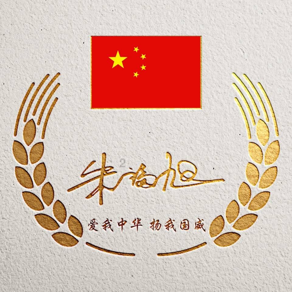 虫虫助手下载